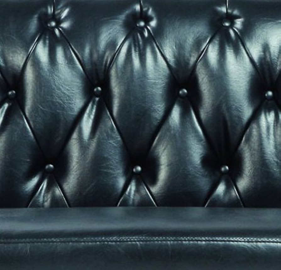 新品 レザー 黒色 ソファ 2P フェリーニ GS-340BK ブラック 金鋲 新品 レザー 黒色 ソファ 2P フェリーニ GS-340BK ブラック 金鋲